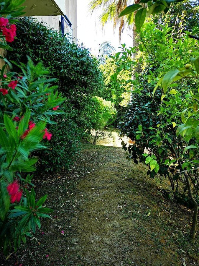 Plage La Salis 3 Chambres, Jardin - 3 Bedrooms Antibes Exterior photo